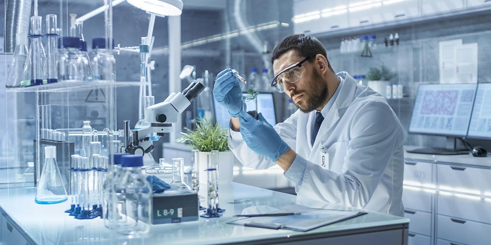 Healthcare and Biotechnology (In a Modern Laboratory Research Scientist Conducts Experiments by Synthesising Compounds with use of Dropper and Plant in a Test Tube)